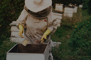 Beekeepers Clothing